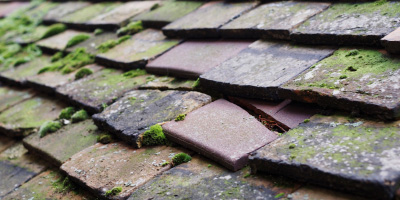 Llandysiliogogo roof repair costs